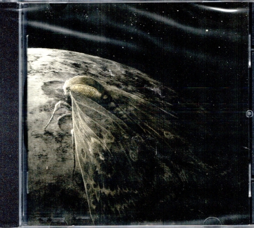 Augrimmer - Moth and the Moon CD