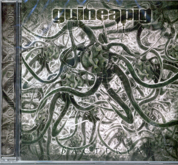 Guineapig - Bacteria CD