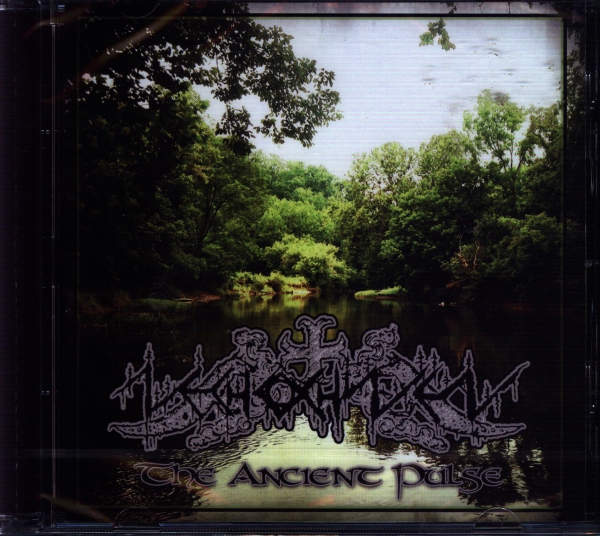 Nechochwen - The Ancient Pulse CD